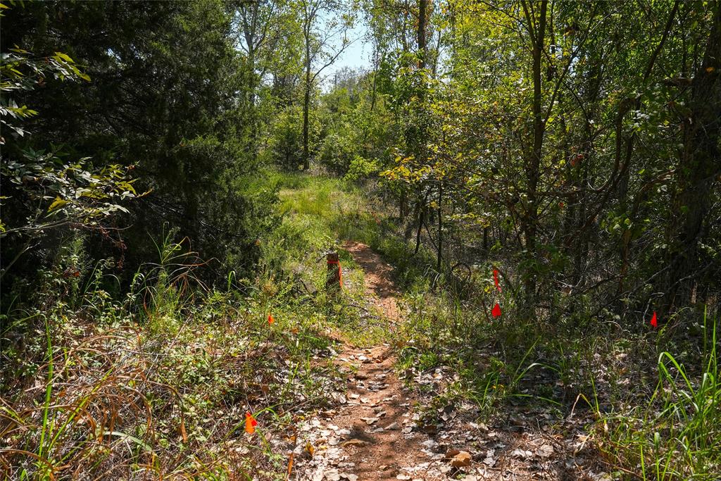4667 County Road 4667 Rhome, TX 76078 - Photo 35 of 39