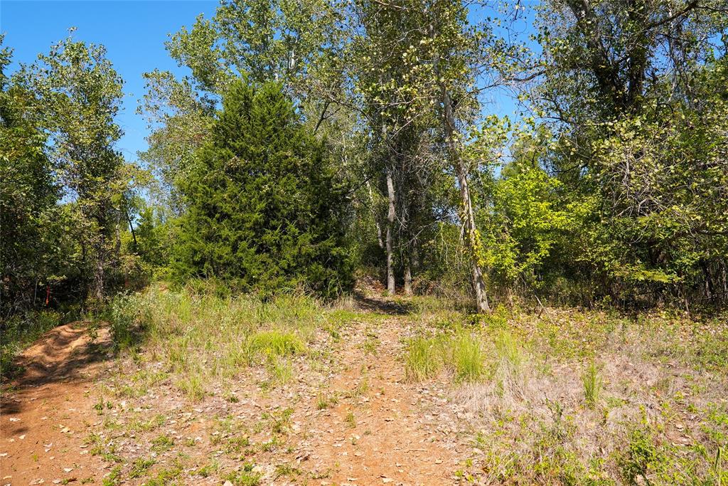 4667 County Road 4667 Rhome, TX 76078 - Photo 36 of 39