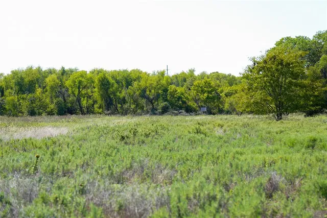 a view of a field of grass and trees