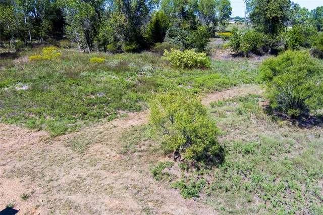 a view of a yard with a tree