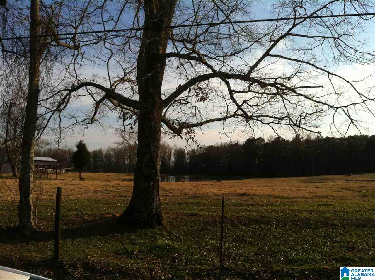 2137 Clevet Springs Road Hayden, AL 35079 - Photo 4 of 13