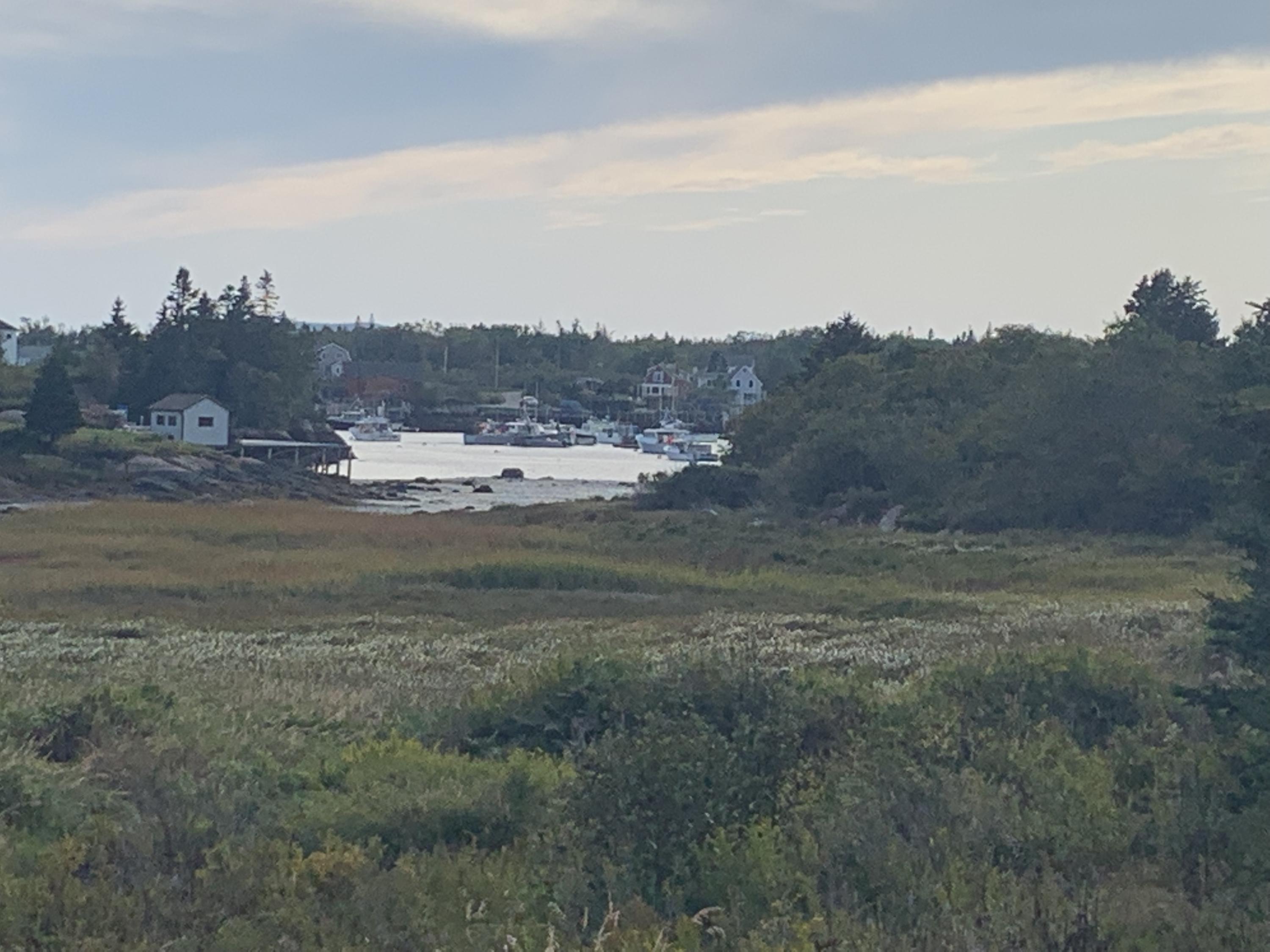 115 Crowley Island Road Corea, ME 04624 - Photo 6 of 58 Photo Sep 15, 4 37 48 PM