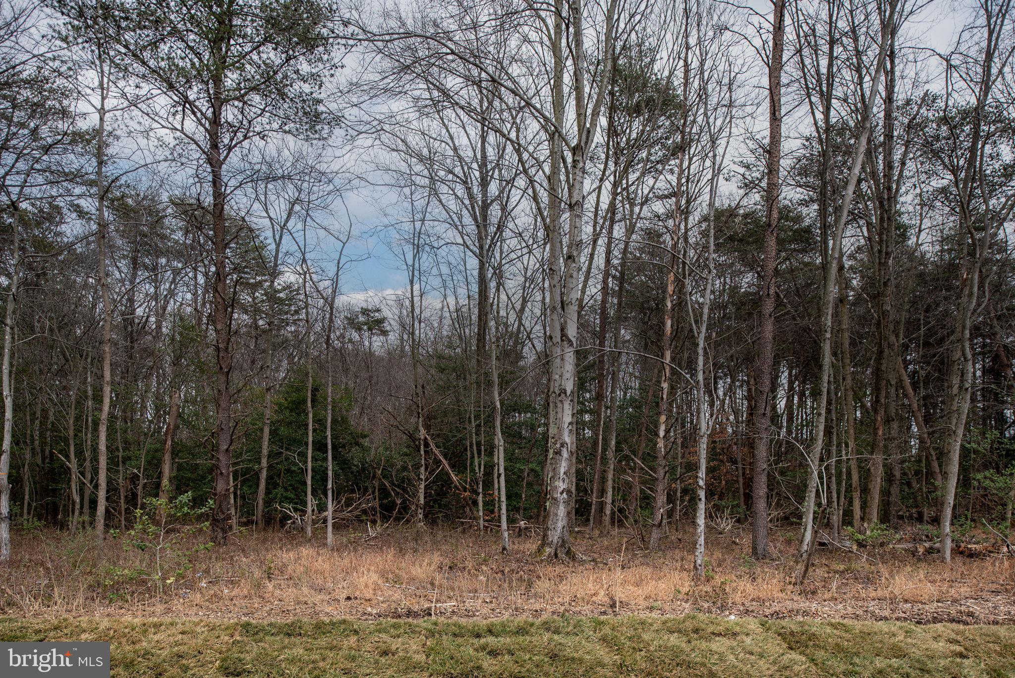8712 Southrun Road Lorton, VA 22079 - Photo 13 of 61