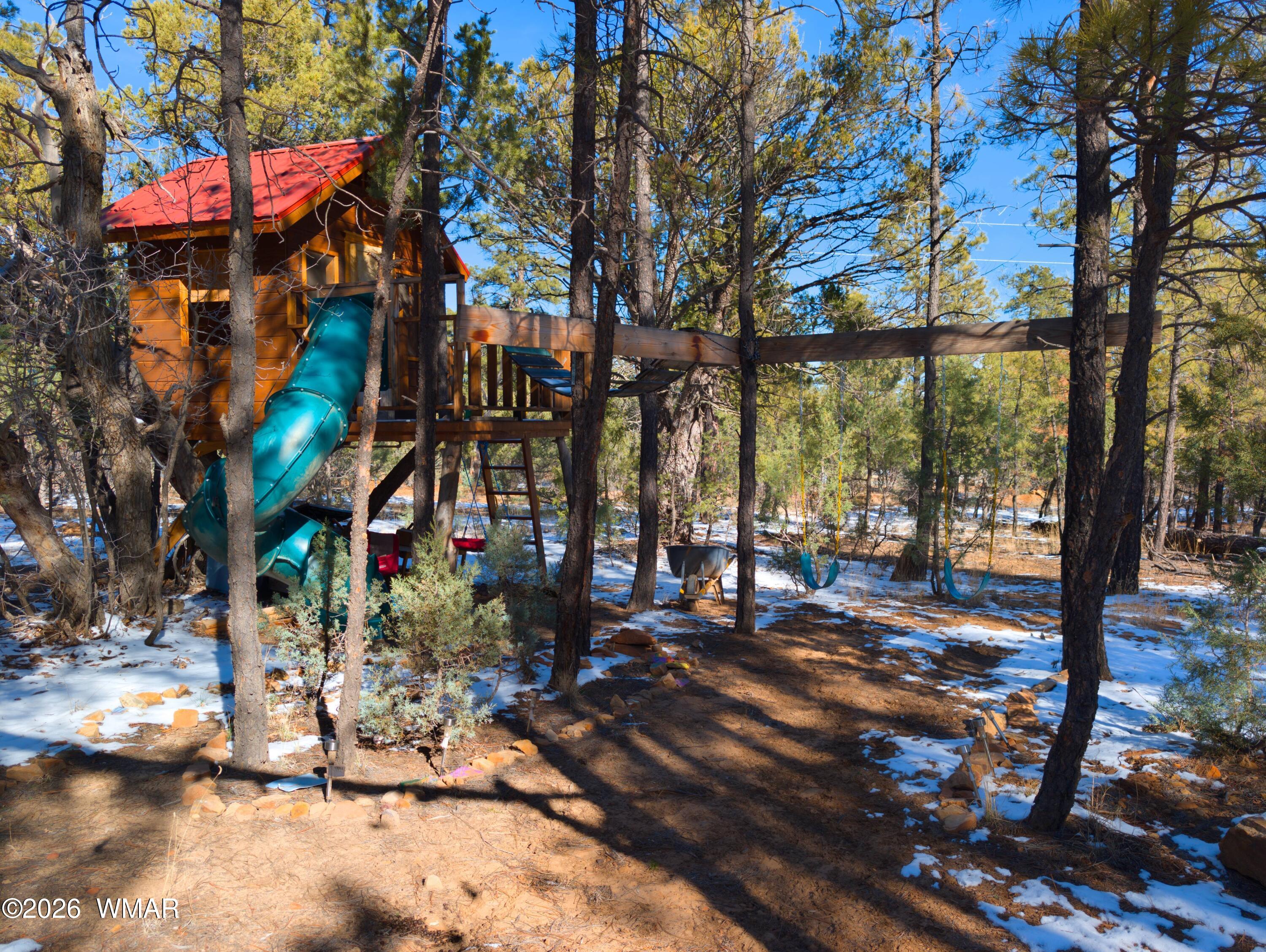 2074 Lone Mountain Road Overgaard, AZ 85933 - Photo 2 of 20 2