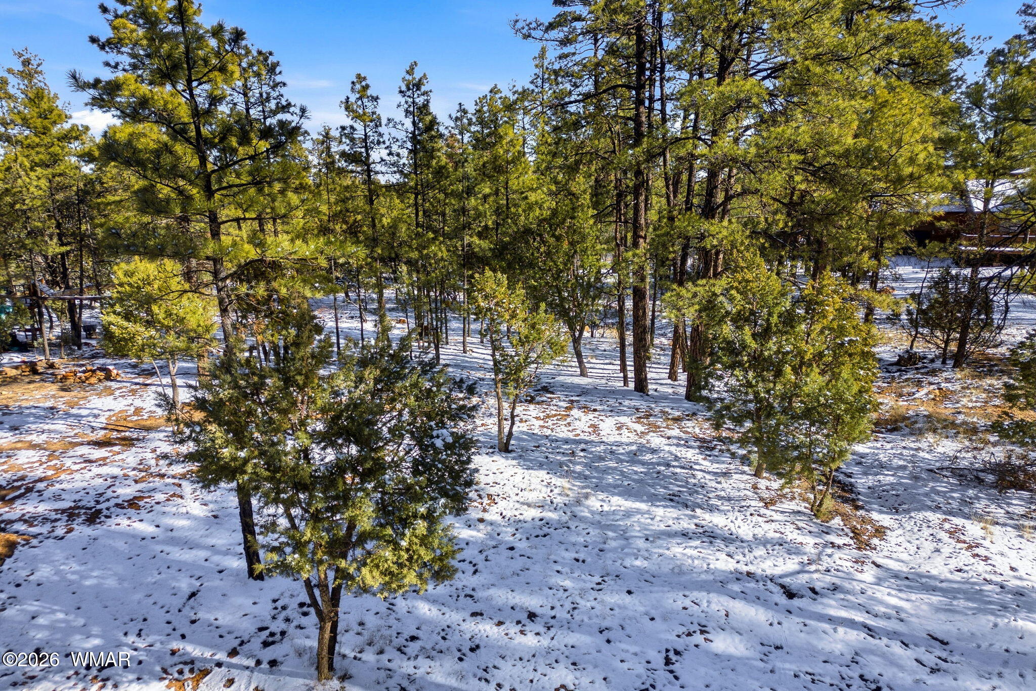 2074 Lone Mountain Road Overgaard, AZ 85933 - Photo 6 of 20 2074LoneMountainRd-HeberOvergaard-AZ-1