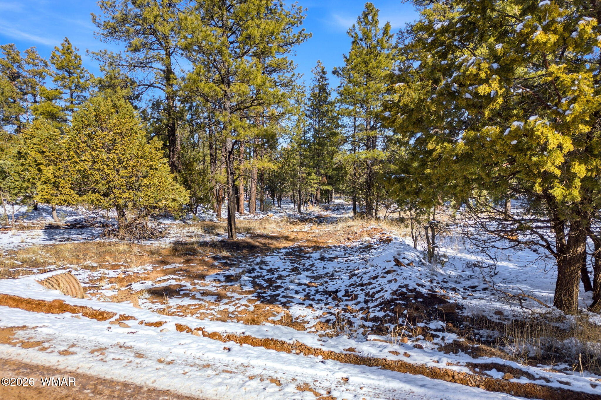 2074 Lone Mountain Road Overgaard, AZ 85933 - Photo 7 of 20 2074LoneMountainRd-HeberOvergaard-AZ-2