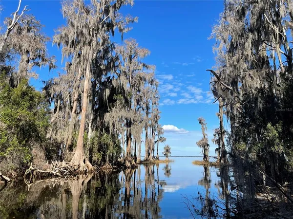 a view of lake