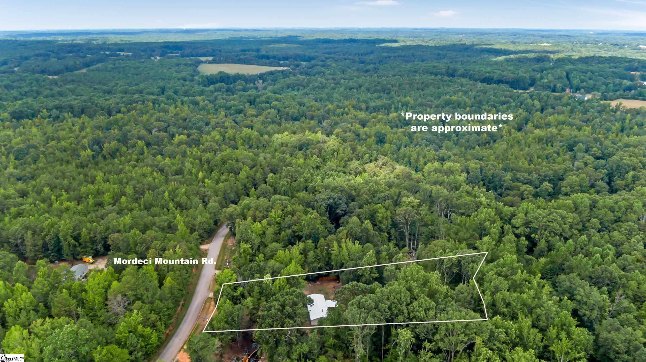 1298 Mordeci Mountain Road Gray Court, SC 29645 - Photo 32 of 35