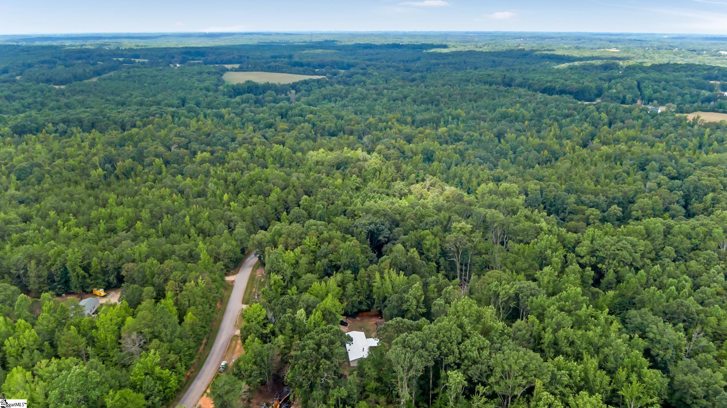 1298 Mordeci Mountain Road Gray Court, SC 29645 - Photo 33 of 35
