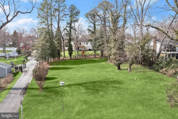 a view of a park with large trees