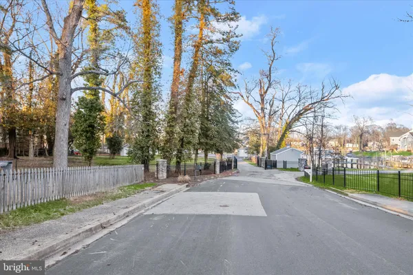 a street view with large trees
