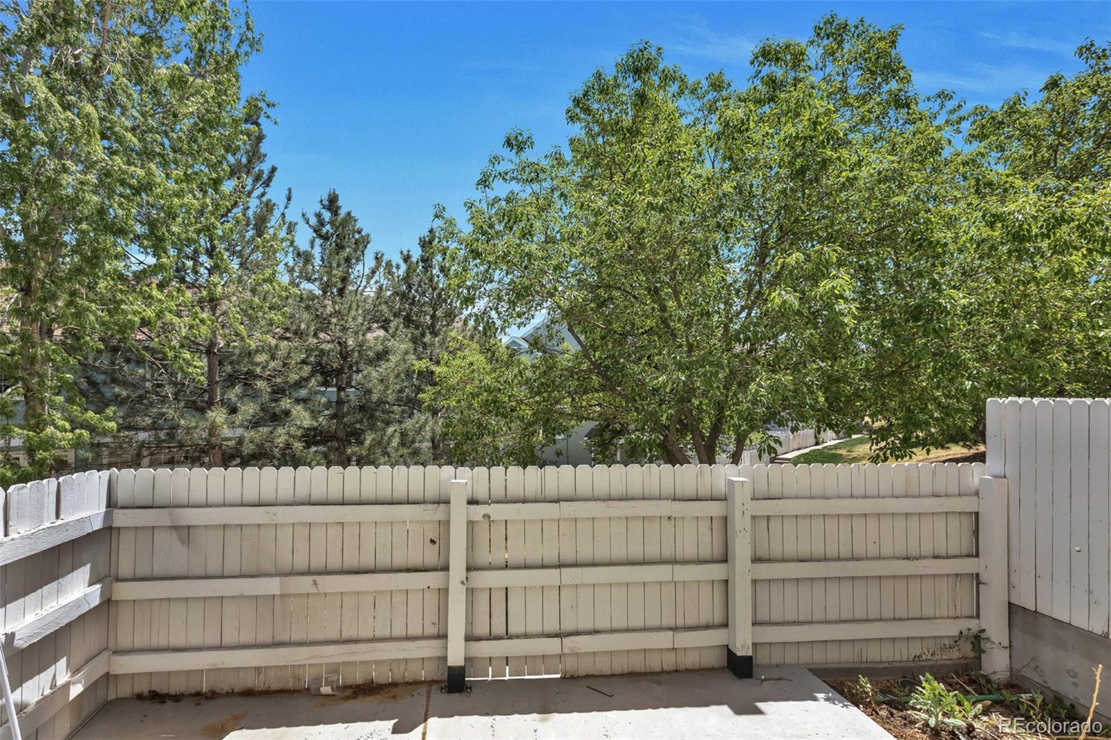 8199 Welby Road, Unit 3302 Denver, CO 80229 - Photo 19 of 22