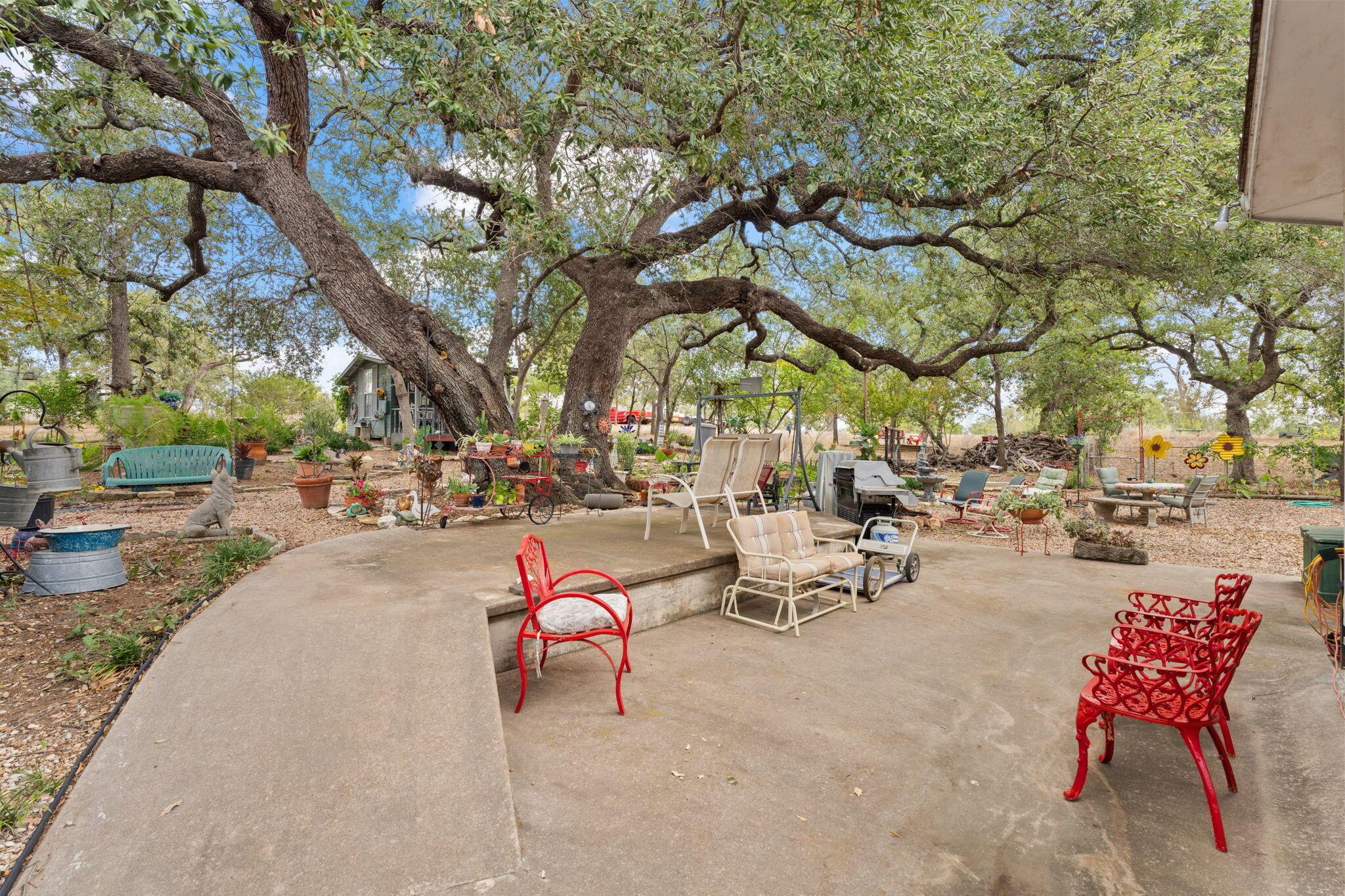 2403 Maple Lane Kingsland, TX 78639 - Photo 30 of 46 a row of palm trees sitting in a park with large trees