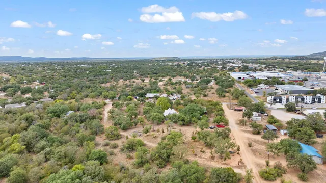 a view of a city with lots of trees