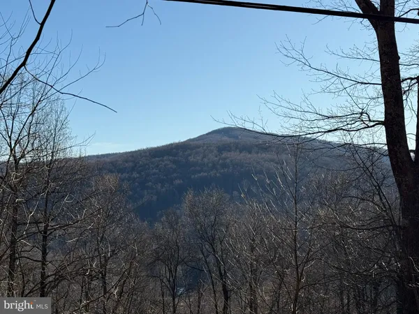 $29,900 | Lot 36 Jonathan Road, Linden, VA 22642