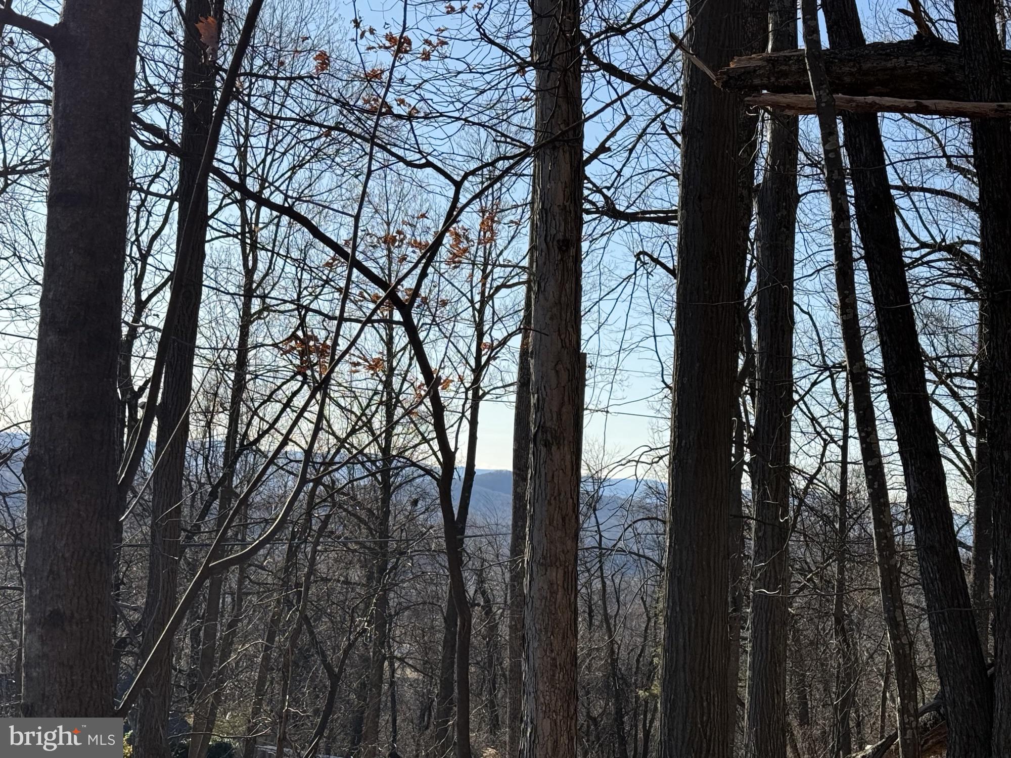 Lot 36 Jonathan Road Linden, VA 22642 - Photo 2 of 8