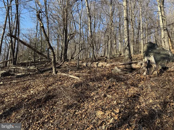 $29,900 | Lot 36 Jonathan Road, Linden, VA 22642