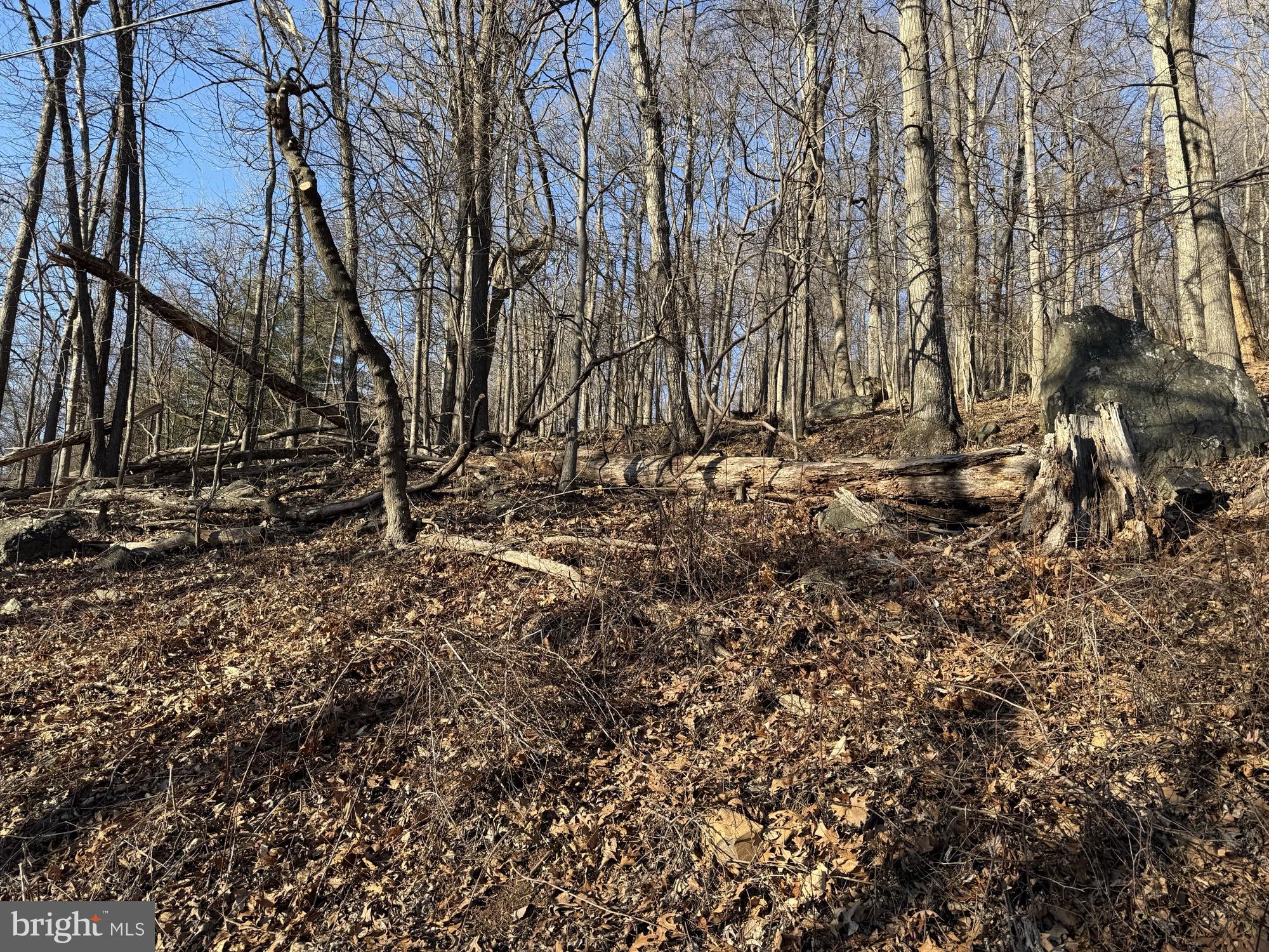 Lot 36 Jonathan Road Linden, VA 22642 - Photo 3 of 8