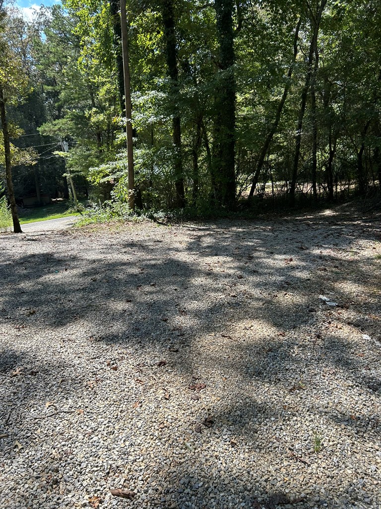 78 No-Where Road Blairsville, GA 30512 - Photo 27 of 29