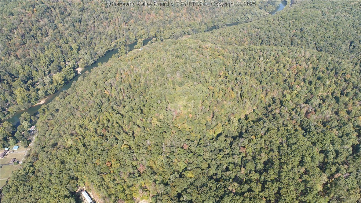 0 Elk River Road Procious, WV 25164 - Photo 4 of 24 Gallery Image 4