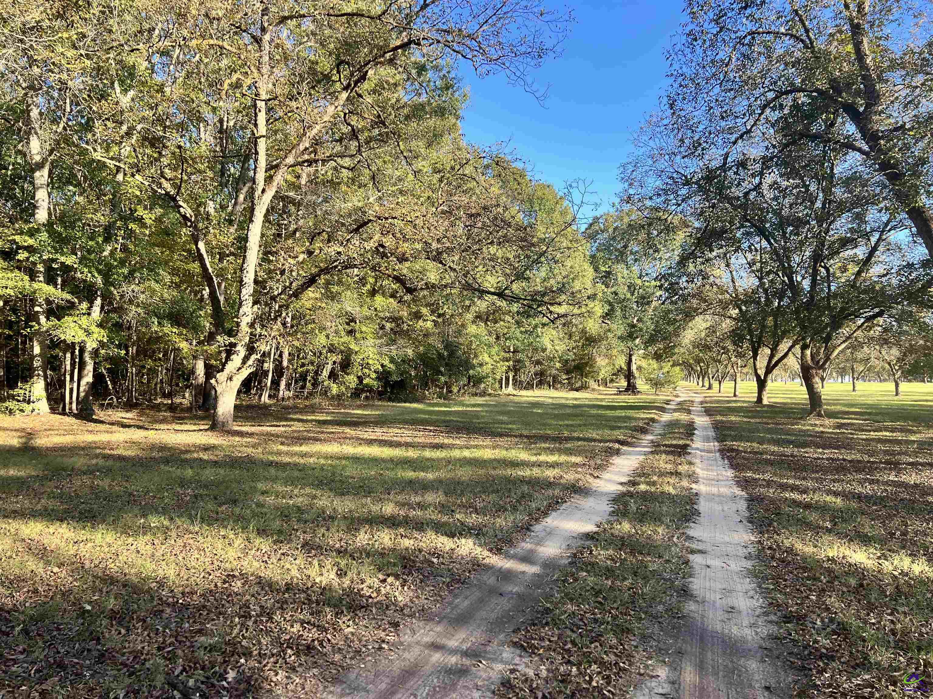 2382 Gallimore Mill Road Danville, GA 31017 - Photo 56 of 80