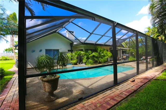 a view of a backyard with plants