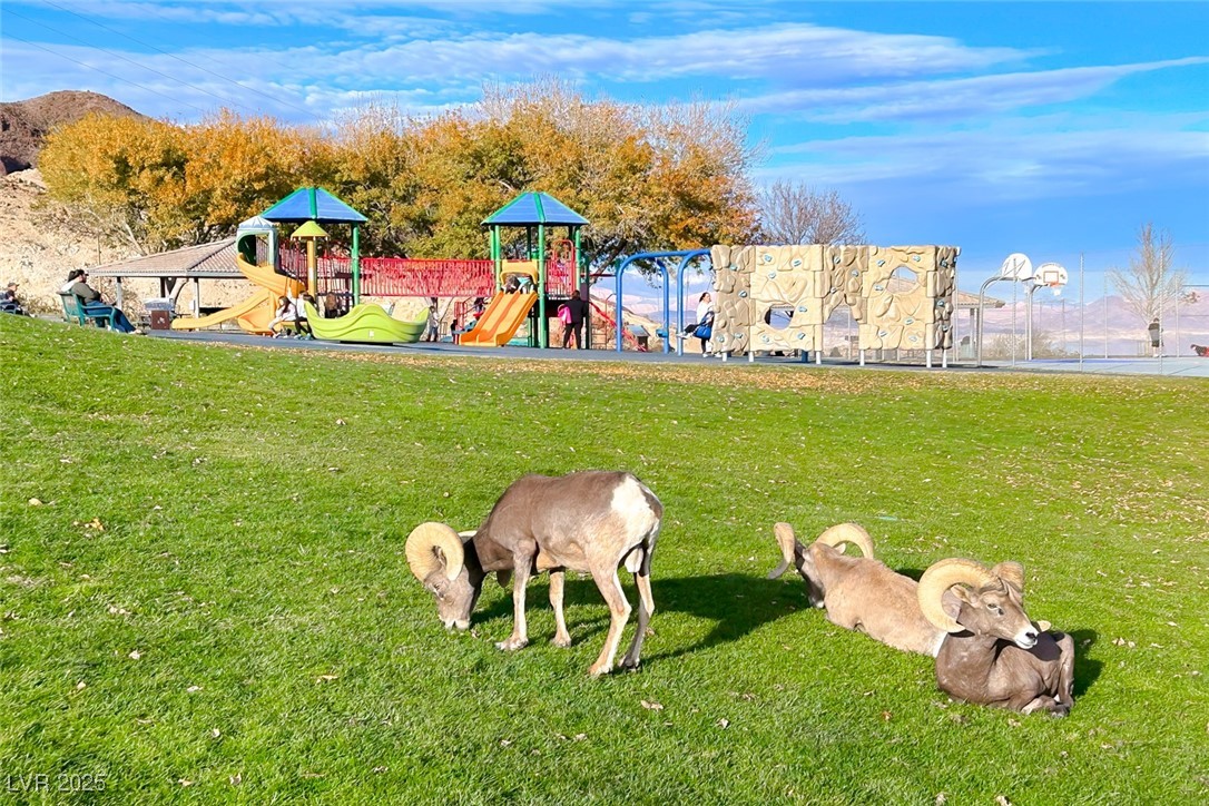 386 Nassau Way Boulder City, NV 89005 - Photo 36 of 44 Community playground featuring a yard