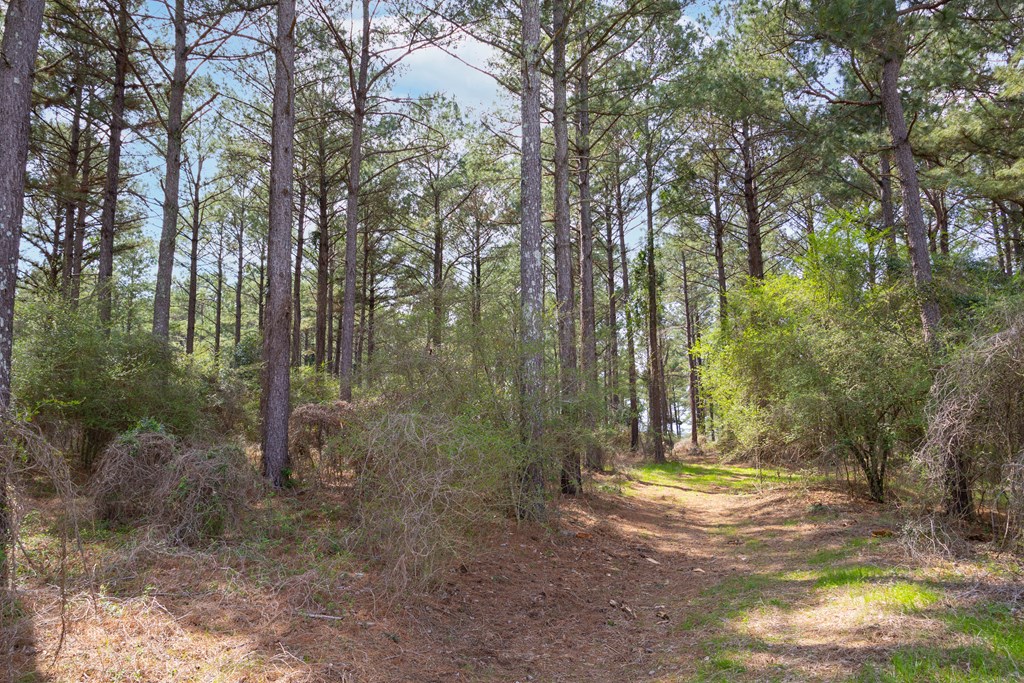 0 Double Creek Road Coffee Springs, AL 36318 - Photo 15 of 24