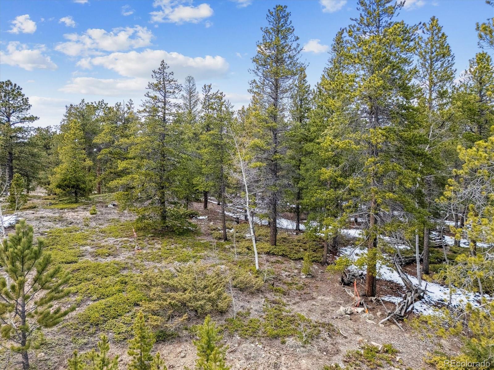 Rock Lake Road Ward, CO 80481 - Photo 12 of 13