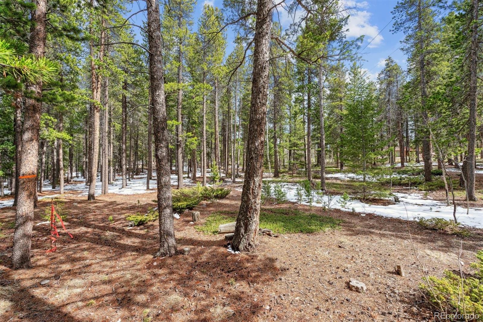 Rock Lake Road Ward, CO 80481 - Photo 2 of 13