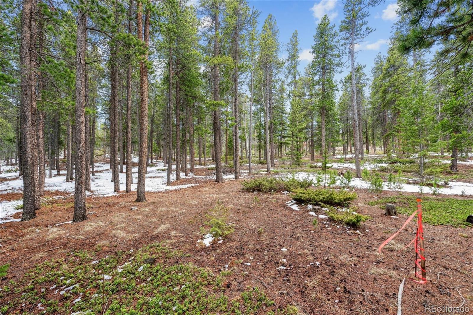 Rock Lake Road Ward, CO 80481 - Photo 3 of 13