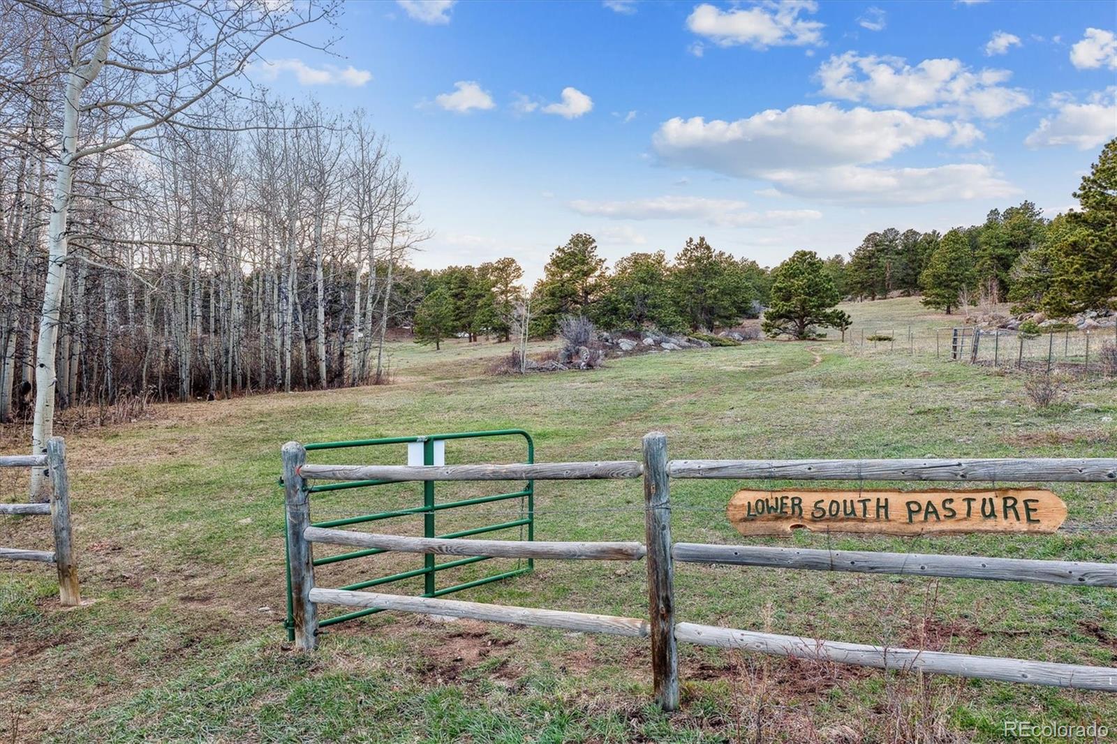 Rock Lake Road Ward, CO 80481 - Photo 8 of 13