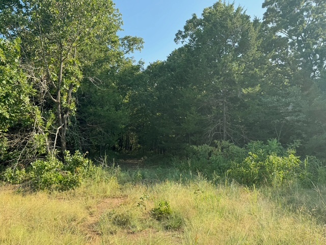 0 East 750th Road Cushing, OK 74023 - Photo 1 of 12 Gallery Image 1