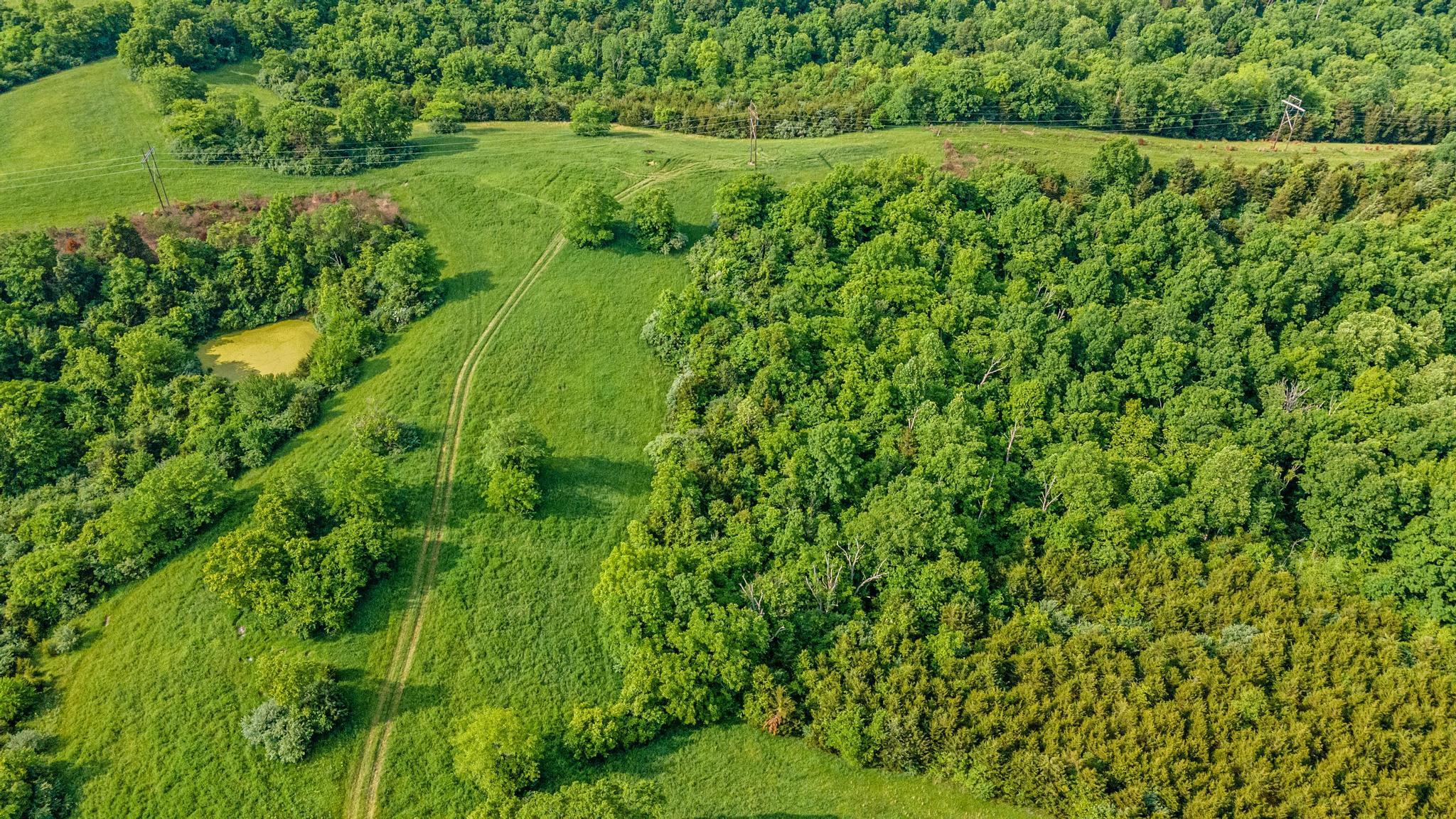 120.61-ac Falvey Road Butler, KY 41006 - Photo 8 of 11 Gallery Image 8