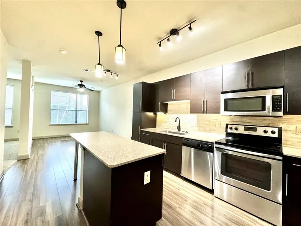 $1,250 | 3788 Richmond St Avenue, Unit 1147, Houston, TX 77046