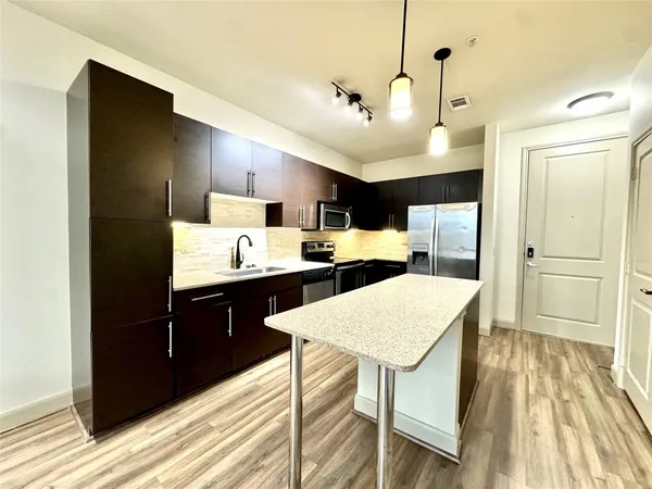 $1,250 | 3788 Richmond St Avenue, Unit 1147, Houston, TX 77046