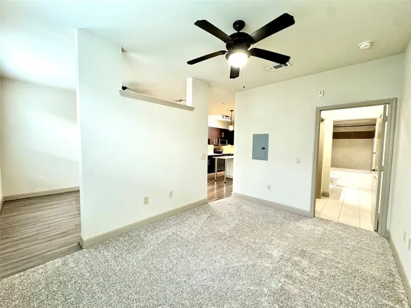 $1,250 | 3788 Richmond St Avenue, Unit 1147, Houston, TX 77046