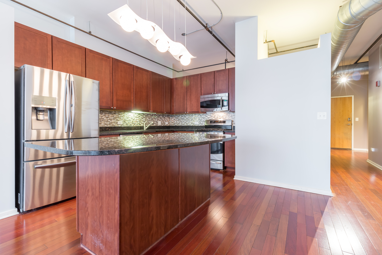 520 South State Street, Unit 1403 Chicago, IL 60605 - Photo 11 of 19 a kitchen with stainless steel appliances granite countertop a refrigerator a sink dishwasher a stove and a wooden floor