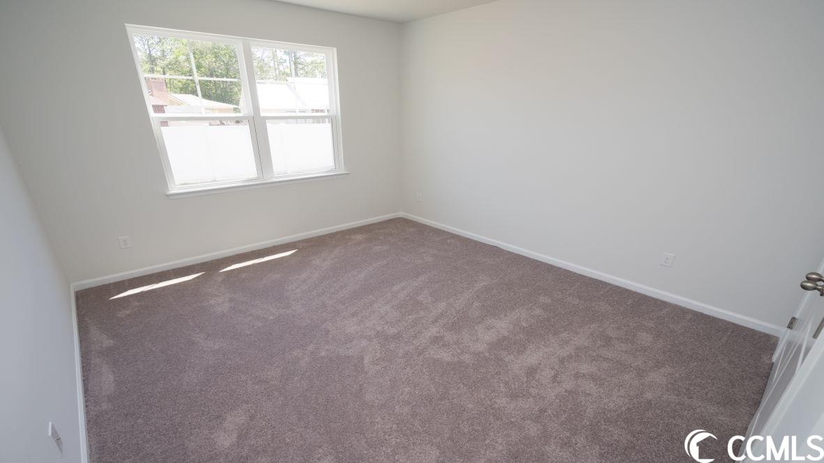 10146 Hamilton Branch Loop Myrtle Beach, SC 29579 - Photo 14 of 40 Gallery Image 14