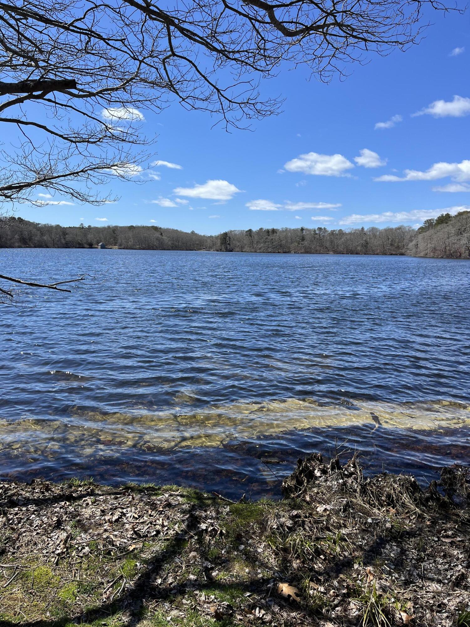 18 Gray Rocks West Road North Falmouth, MA 02556 - Photo 54 of 58 Wing Pond