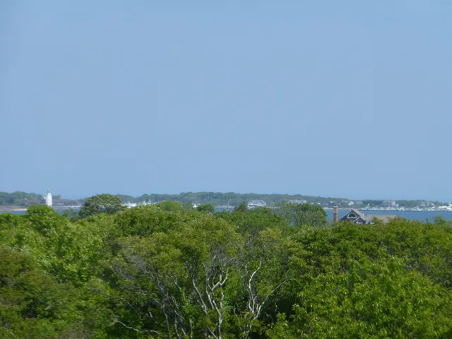 a view of a field of grass and trees