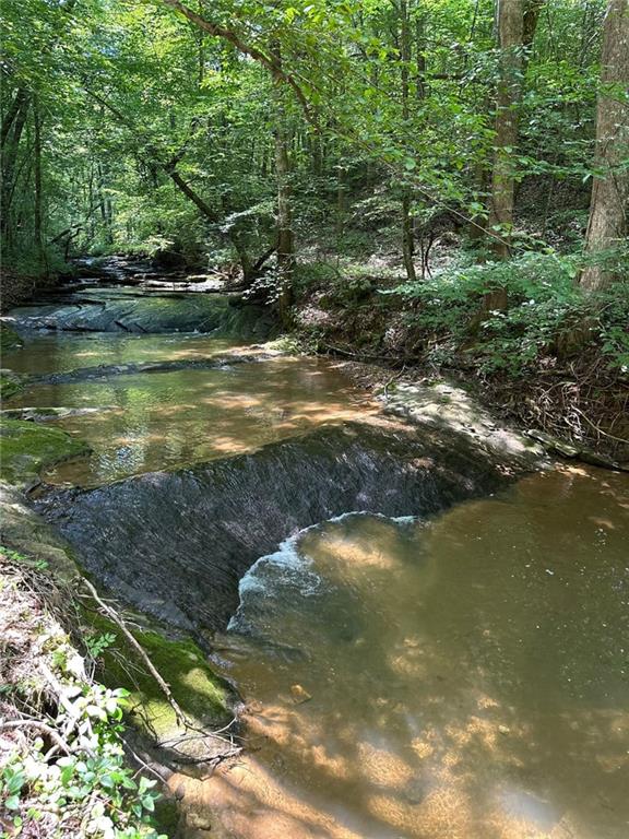0 Hidden Creek Road Jasper, GA 30143 - Photo 11 of 12