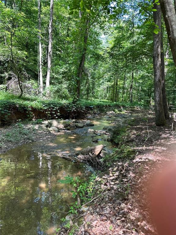 0 Hidden Creek Road Jasper, GA 30143 - Photo 12 of 12