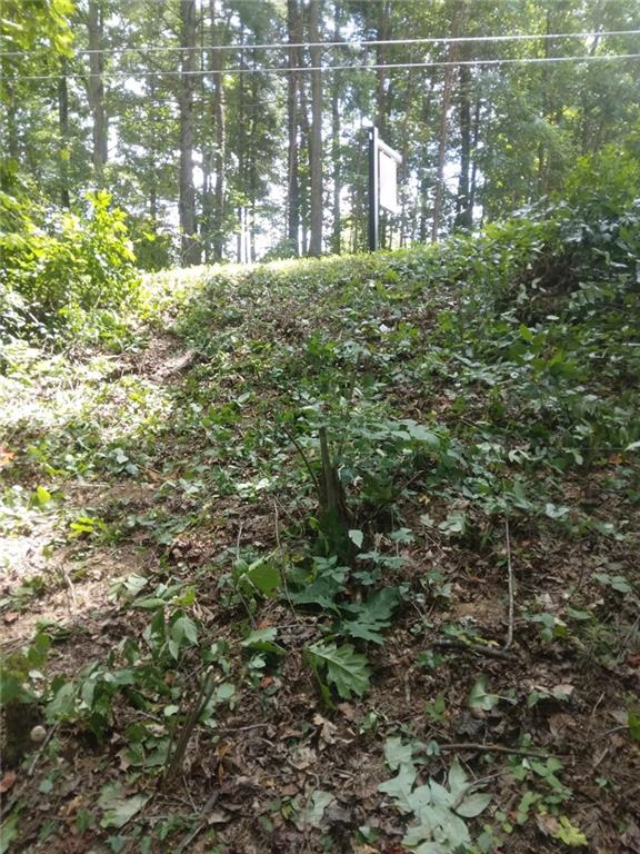0 Hidden Creek Road Jasper, GA 30143 - Photo 2 of 12