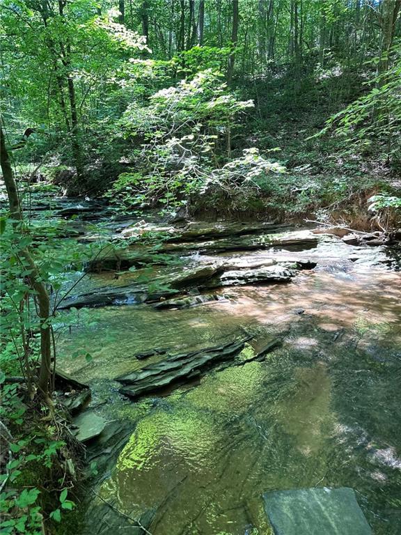 0 Hidden Creek Road Jasper, GA 30143 - Photo 4 of 12