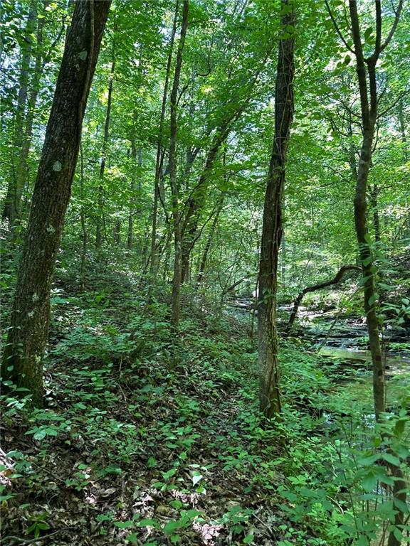 0 Hidden Creek Road Jasper, GA 30143 - Photo 5 of 12