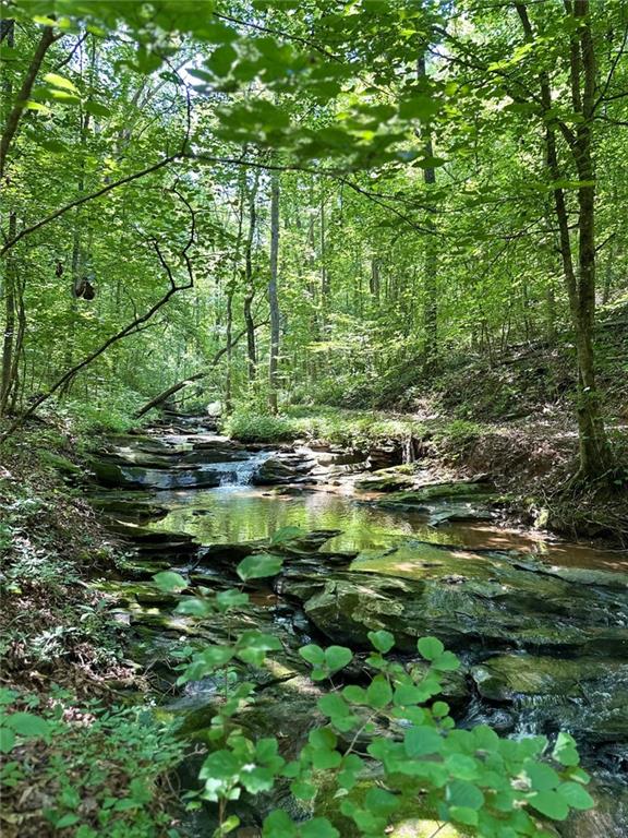 0 Hidden Creek Road Jasper, GA 30143 - Photo 6 of 12