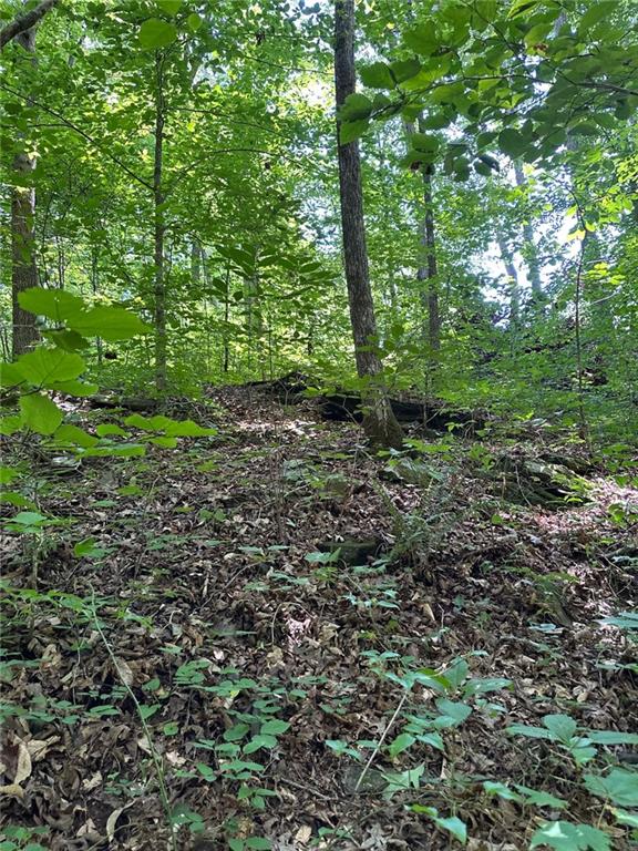 0 Hidden Creek Road Jasper, GA 30143 - Photo 7 of 12