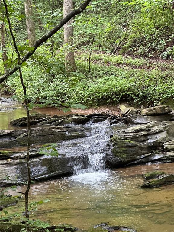 0 Hidden Creek Road Jasper, GA 30143 - Photo 8 of 12