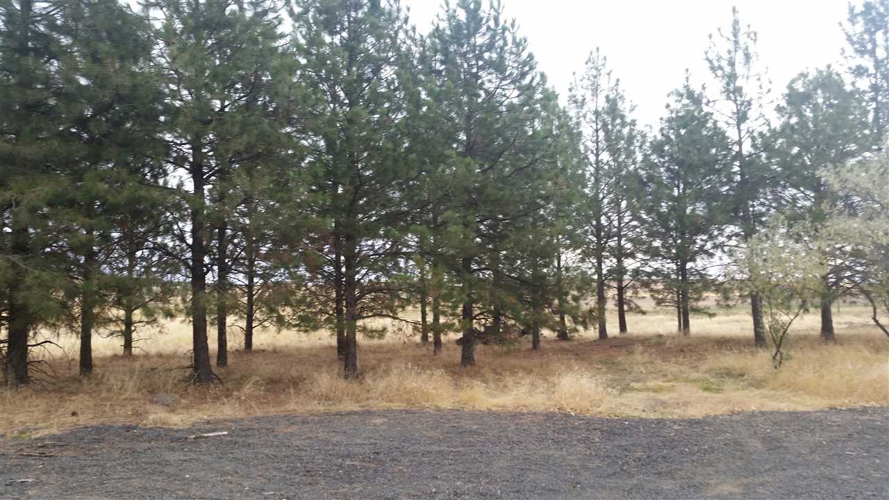 48937 Brown Road Sprague, WA 99032 - Photo 17 of 20 Gallery Image 17